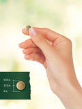 Empaque sostenible de Carlyle Ginkgo Biloba
