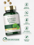 Prueba de calidad de Carlyle Ginkgo Biloba con ingredientes confiables.