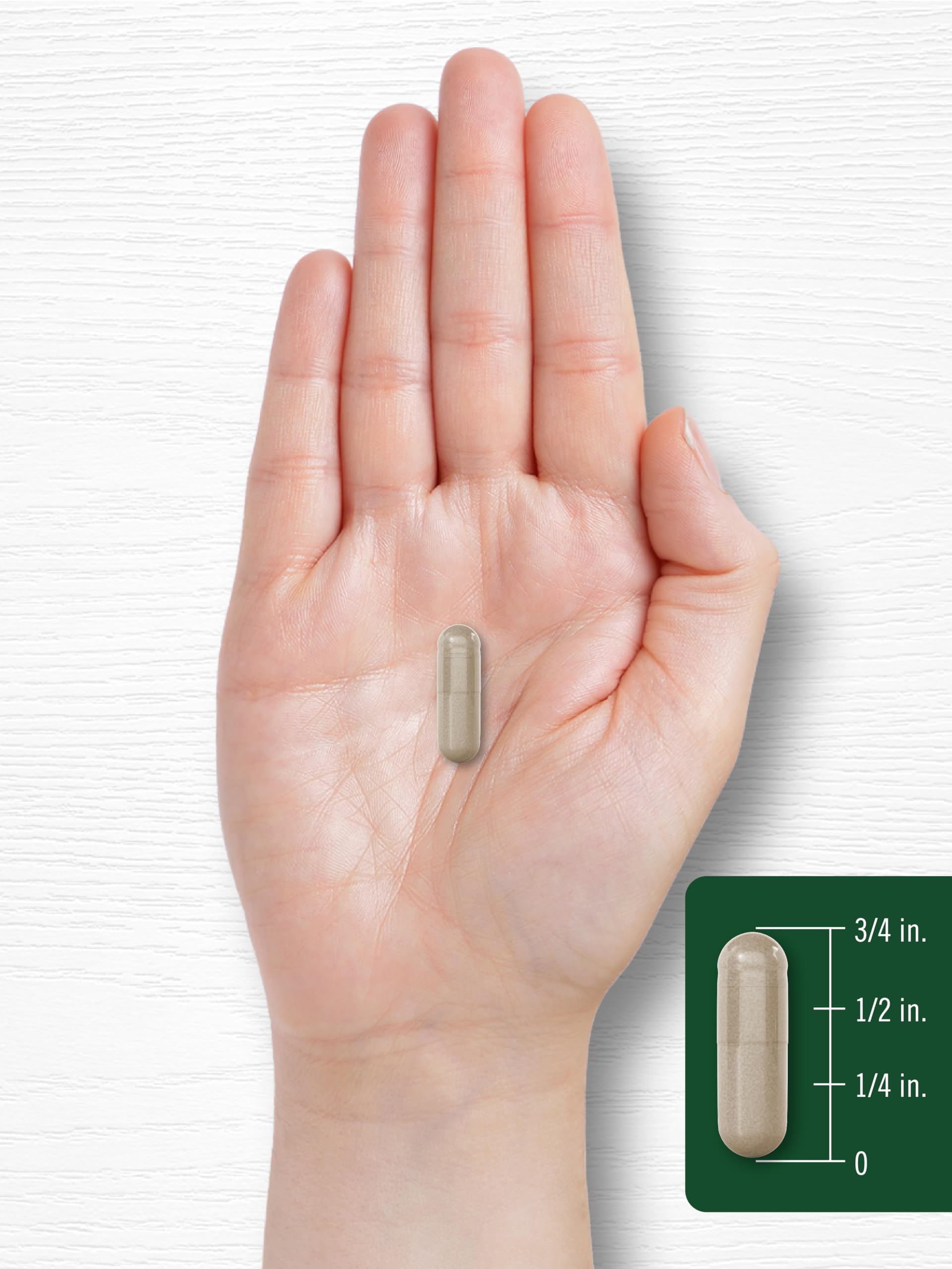 Carlyle Panax Ginseng & Ginkgo, uso diario en estilo de vida activo