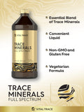 Carlyle Trace Minerals ingredientes clave magnesio cloruro y sodio