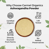 Ashwagandha Carmel Organics polvo raíz preparación agua tibia, mezcla rápida