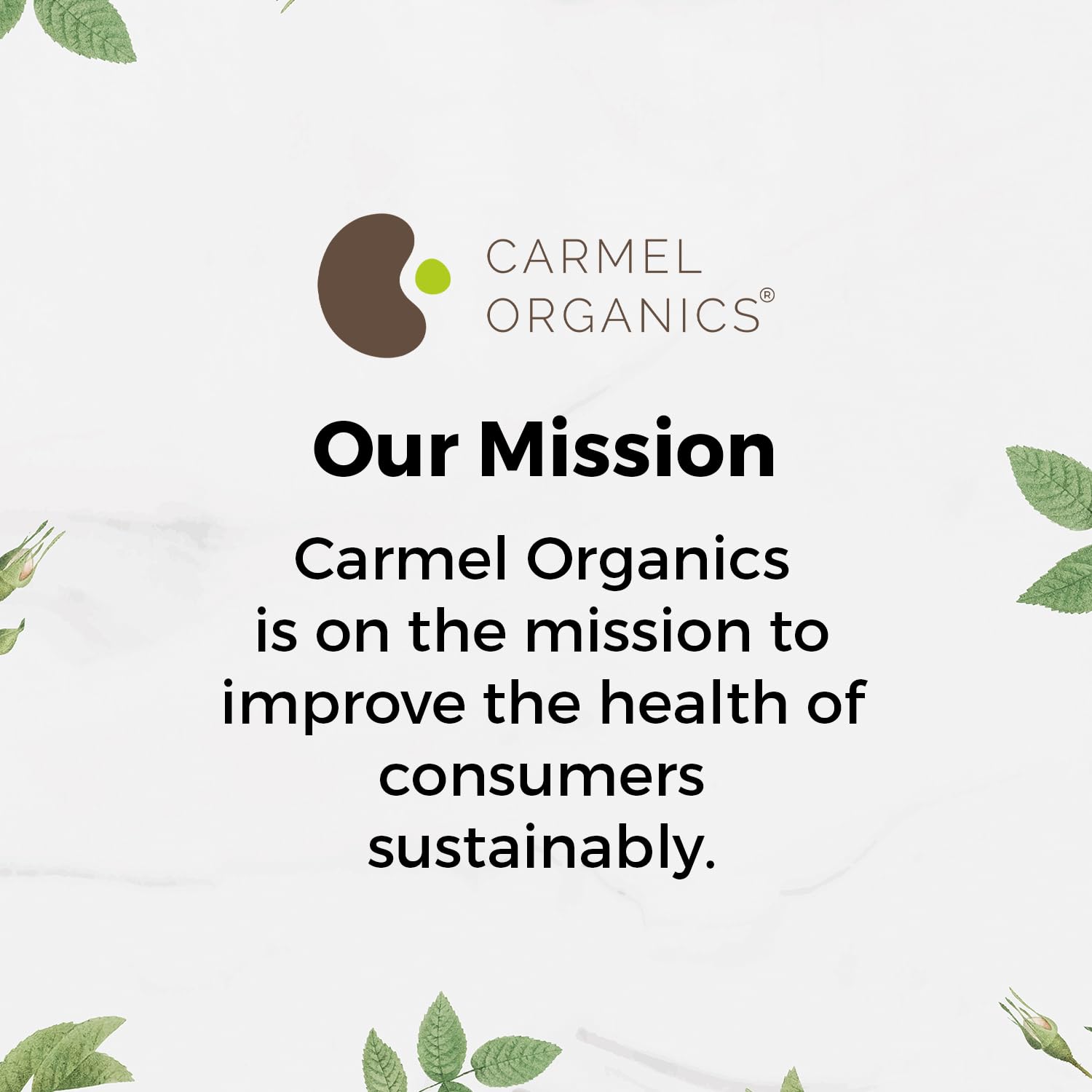 Carmel Organics cucharita medidora muestra dosis de polvo de regaliz para recetas