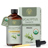 Carno Calm aceite de eucalipto: botella de 1,7 onzas lista para uso en difusor