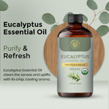 Cuidados del cuero cabelludo con aceite de eucalipto Carno Calm