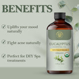 Aplicación suave de aceite de eucalipto Carno Calm en la piel con dilución adecuada