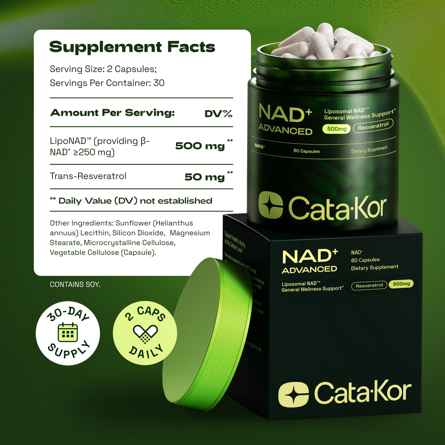 Ingredientes globales de Cata-Kor Liposomal NAD para calidad constante