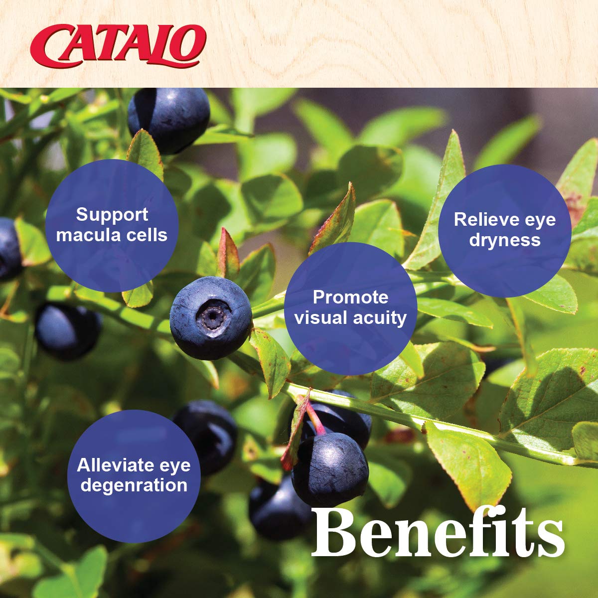 CATALO Visión nocturna con Bilberry Eyebright Gold para uso diario.