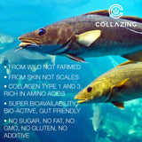 C COLLAZING aminoácidos clave glicina y prolina para síntesis de colágeno