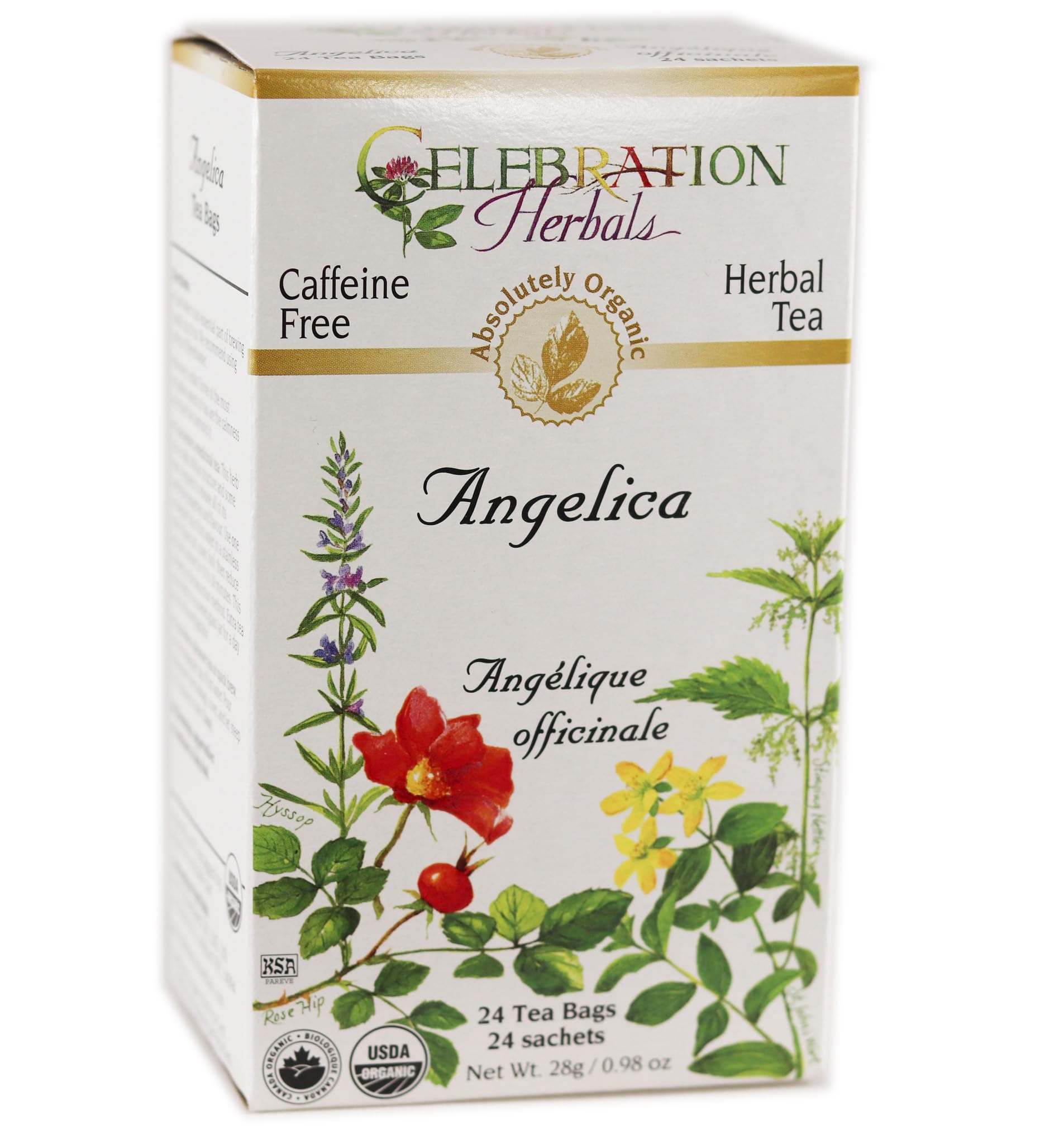 Celebration Herbals Angelica Root Orgánica, empaque de 24 bolsas para infusiones aromáticas.