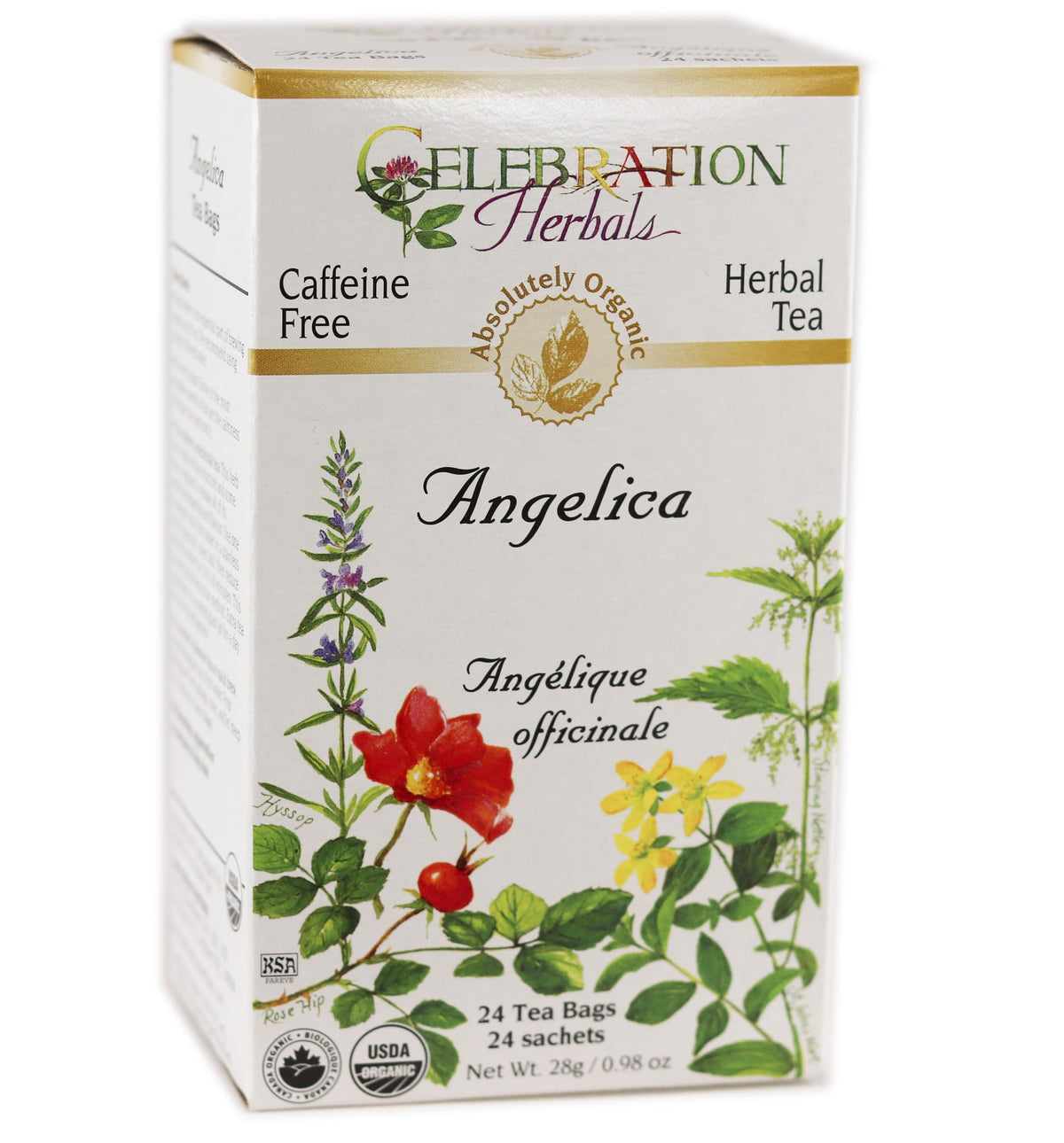 Celebration Herbals Angelica Root Orgánica, empaque de 24 bolsas para infusiones aromáticas.