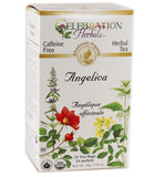 Celebration Herbals Angelica Root Orgánica, empaque de 24 bolsas para infusiones aromáticas.