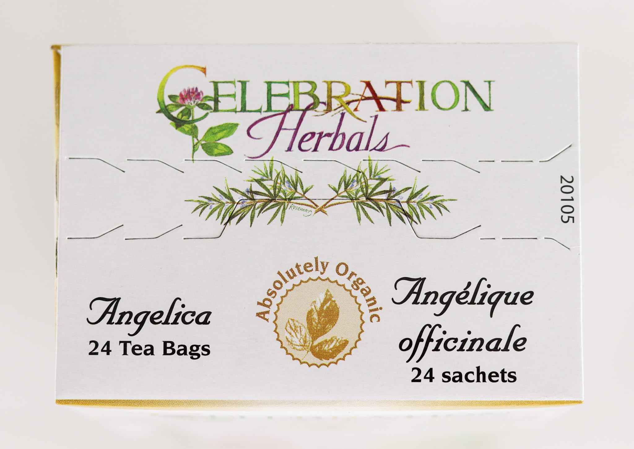 Infusión lista para servir con Angelica Root Orgánica, experiencia aromática reconfortante.