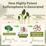 Cenffitio: activación NRF2 para apoyo antioxidante a nivel celular