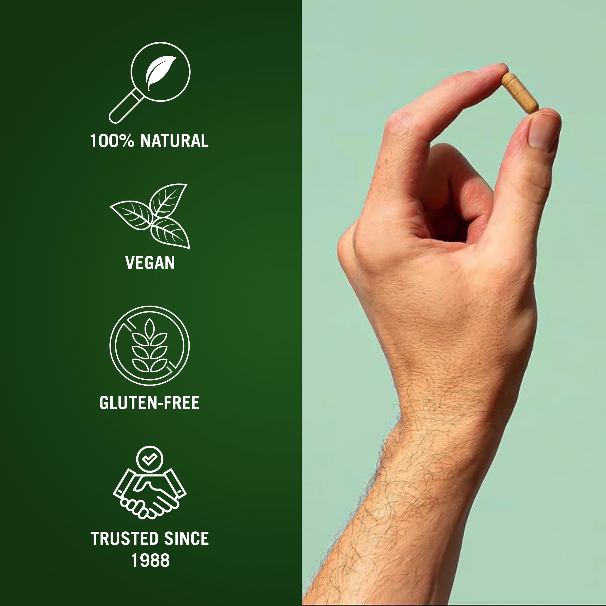 The Cleaner Detox: ayuda a mantener equilibrio digestivo y energía.
