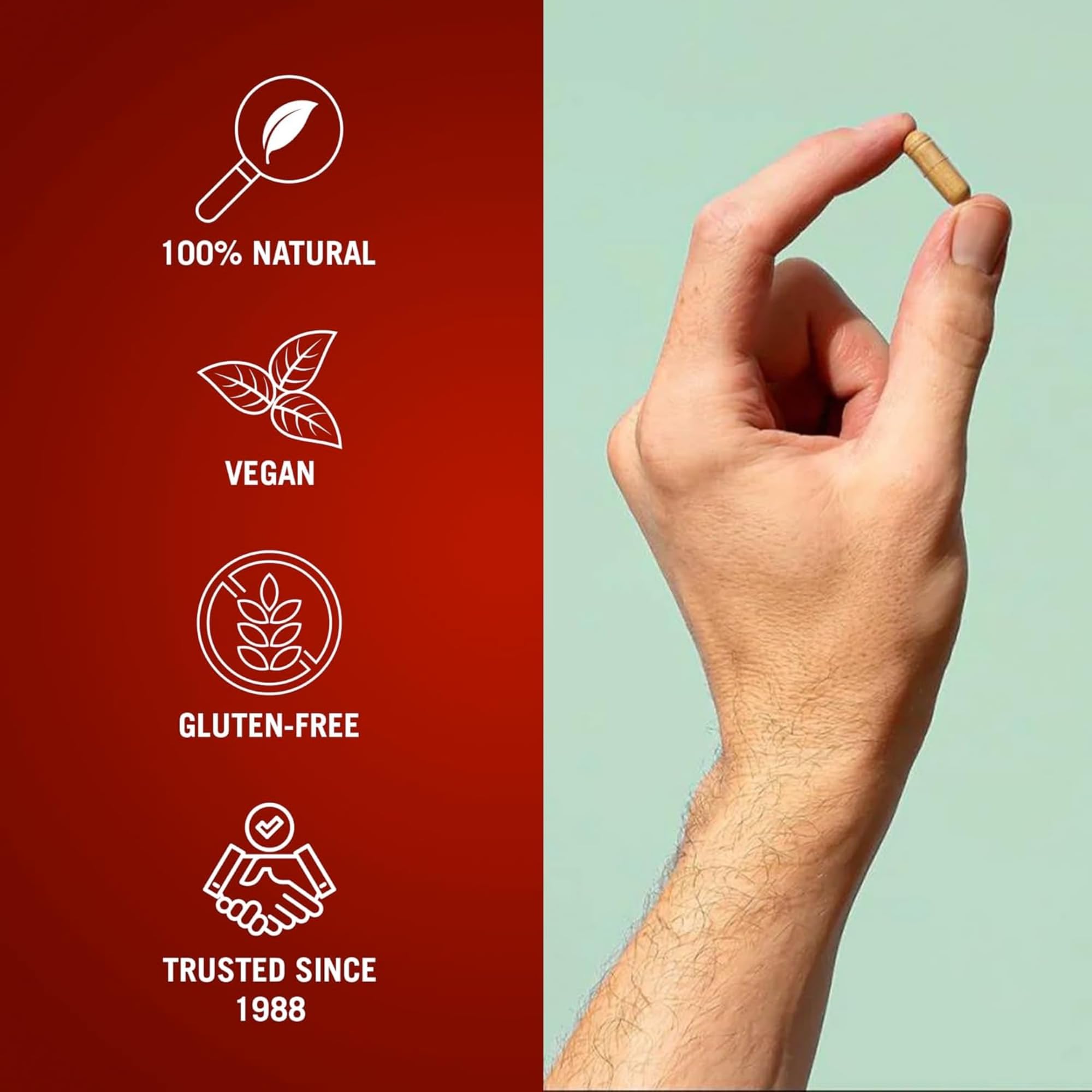 Century Systems The Cleaner Detox: formato vegetariano para viajar sin complicaciones.