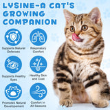 CFXYHNOX Gotas de lisina para gatos, sabor pollo asado