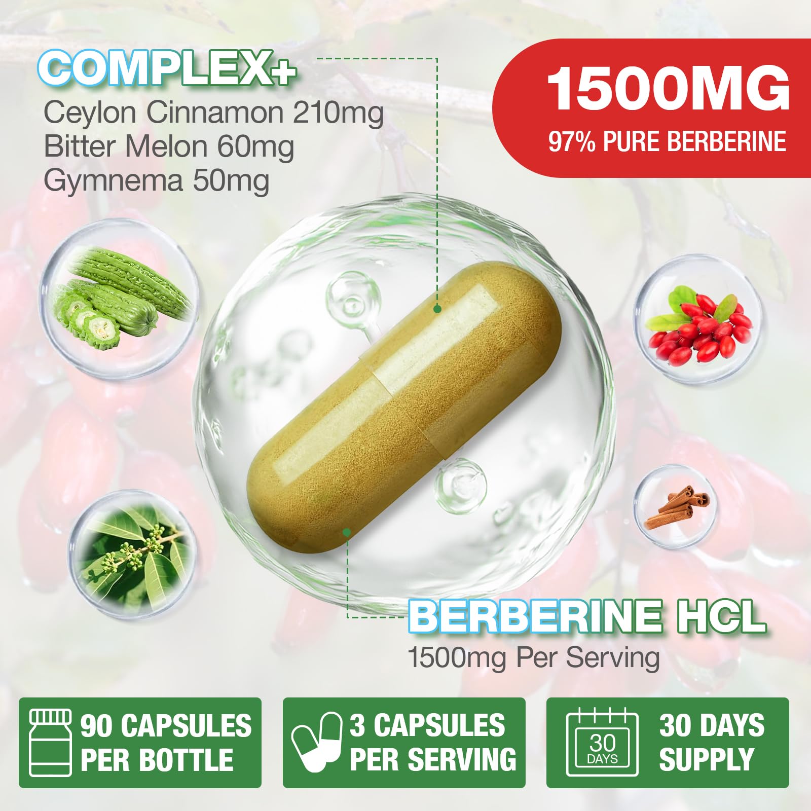 CHANUBITO Mezcla 5 en 1 de berberina para absorción y uso diario.