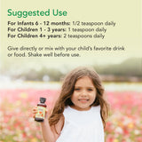 CHILDLIFE ESSENTIALS Zinc Plus presentacion-caja: ideal para organizar en casa.