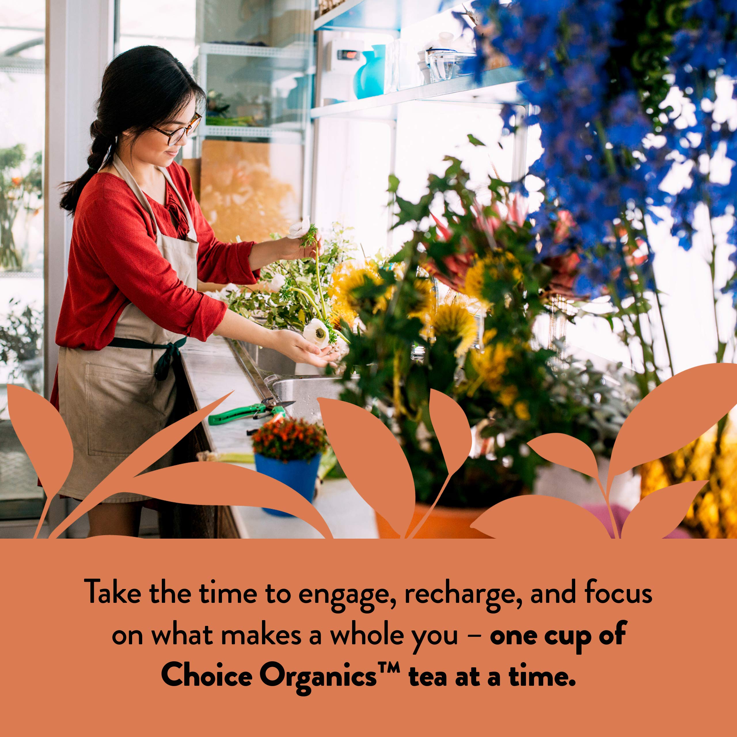 Choice Organic Teas; oolong ligeramente tostado con sabor equilibrado.
