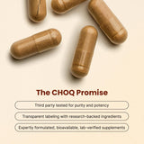 CHOQ Diario Shilajit PrimaVie ingrediente clave y biodisponibilidad