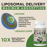 Ciaceae CoQ10 800 mg cápsula en mano, formato vegano
