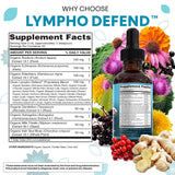 Clean Nutra diente de león raíz, complemento para la salud digestiva.