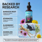 Clean Nutra echinacea tintura, opción natural para complementar la rutina diaria.