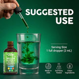 Clean Nutra toronjil hierba, posible apoyo a la tranquilidad.