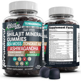 Terramineral Shilajit Gomitas de Clean Nutra: botella lista para uso diario