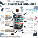 Terramineral Shilajit Gomitas: empaque abierto mostrando ingredientes activos
