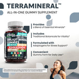 Terramineral Shilajit Gomitas: tabla de ingredientes clave para bienestar