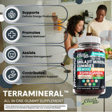 Terramineral Shilajit Gomitas de Clean Nutra: gominolas junto a hojas de musgo marino