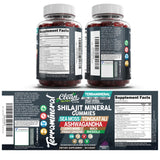 Terramineral Shilajit Gomitas de Clean Nutra: merienda para energía diaria