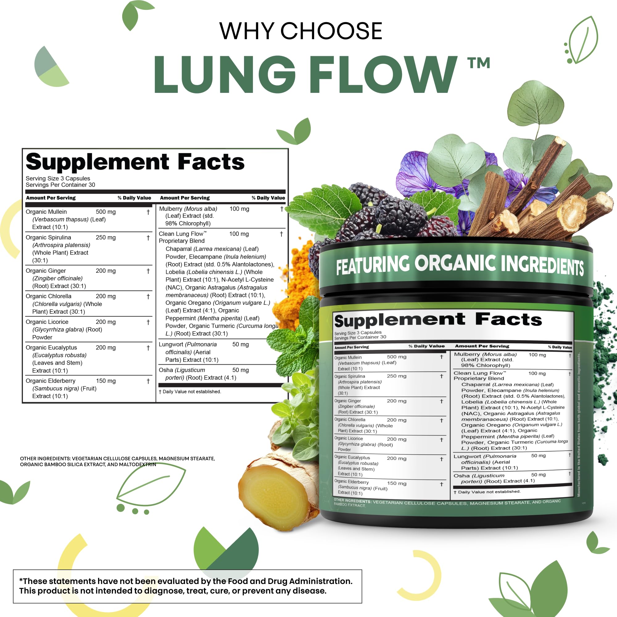 Clean Nutraceuticals bayas-sauco, antioxidantes naturales para la inmunidad.
