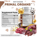 Clean Nutraceuticals pancreas desecado capsulas: apoyo digestivo diario