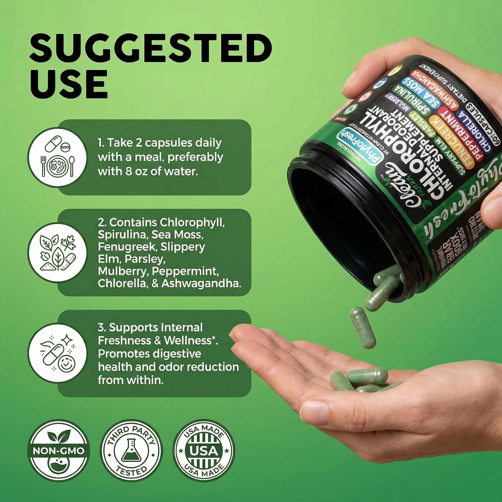 Hojas de menta PhytoFresh, toque refrescante para el aliento y la digestión.