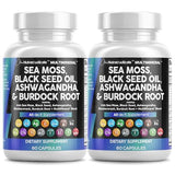 Clean Nutraceuticals Sea Moss cápsulas: soporte diario para bienestar general