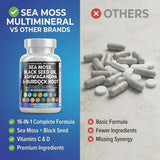 Clean Nutraceuticals vinagre de manzana con clorofila en capsulas