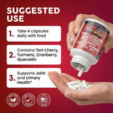 Clean Nutraceuticals: apio en extracto para fórmula saludable.