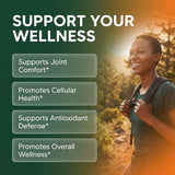 Clean Nutra cápsulas de moringa para energía y nutrición
