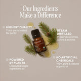 Difusor con aceite de pino Cliganic para relajación y enfoque.