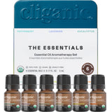 Cliganic Menta: frasco para aroma refrescante y enfoque mental