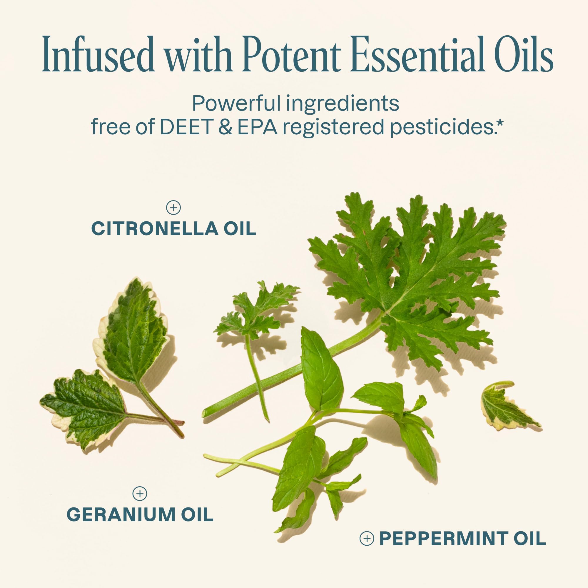 Cliganic aceites esenciales naturales brindan repelencia suave