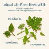 Cliganic aceites esenciales naturales brindan repelencia suave