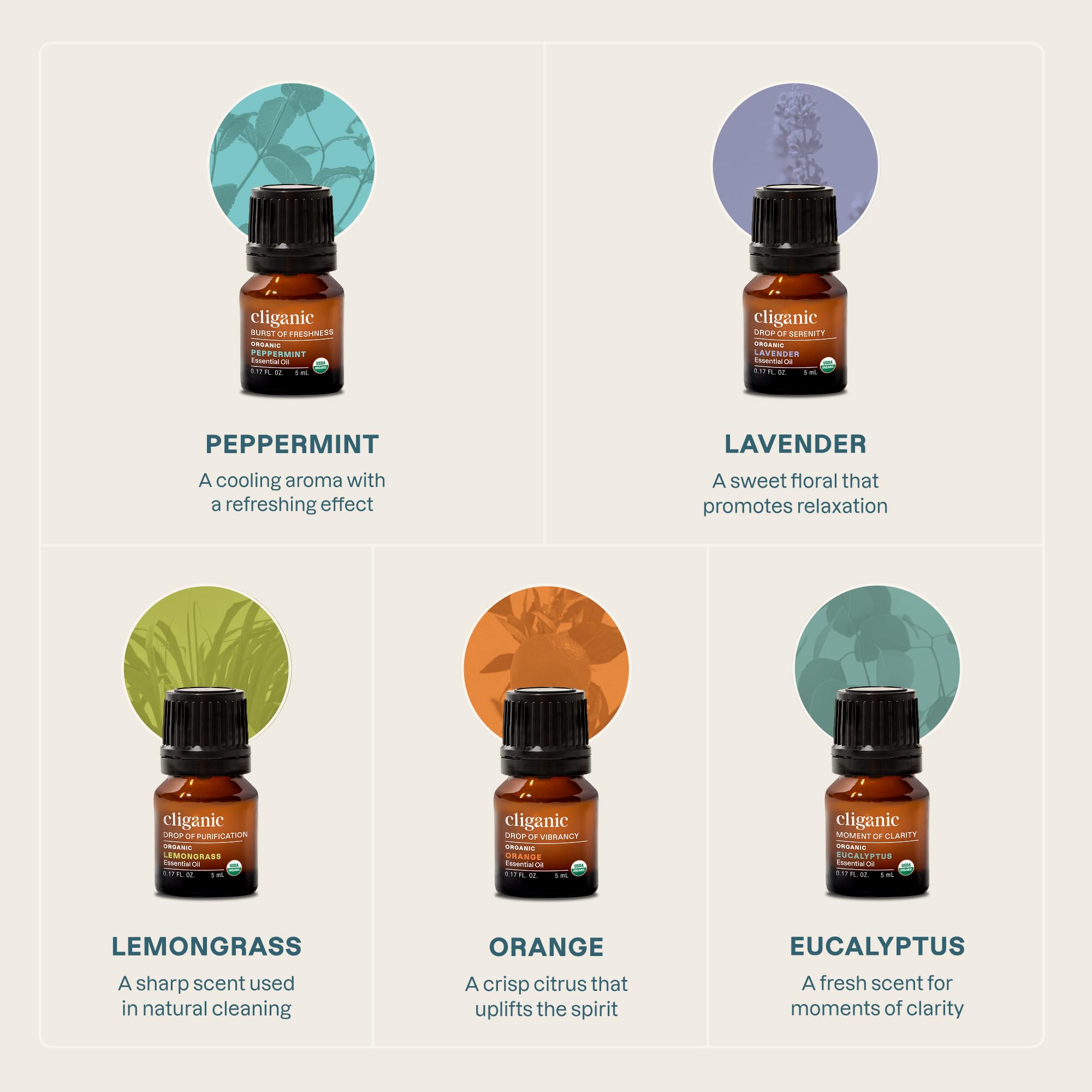 Cliganic eucalipto: aroma limpio para refrescar el ambiente.