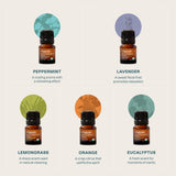 Cliganic eucalipto: aroma limpio para refrescar el ambiente.