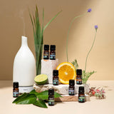Uso multipropósito: aroma para ambientación y difusor con Cliganic Citronela.