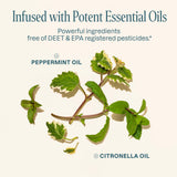 Parches con aceite de citronela de Cliganic para uso diario sin DEET.