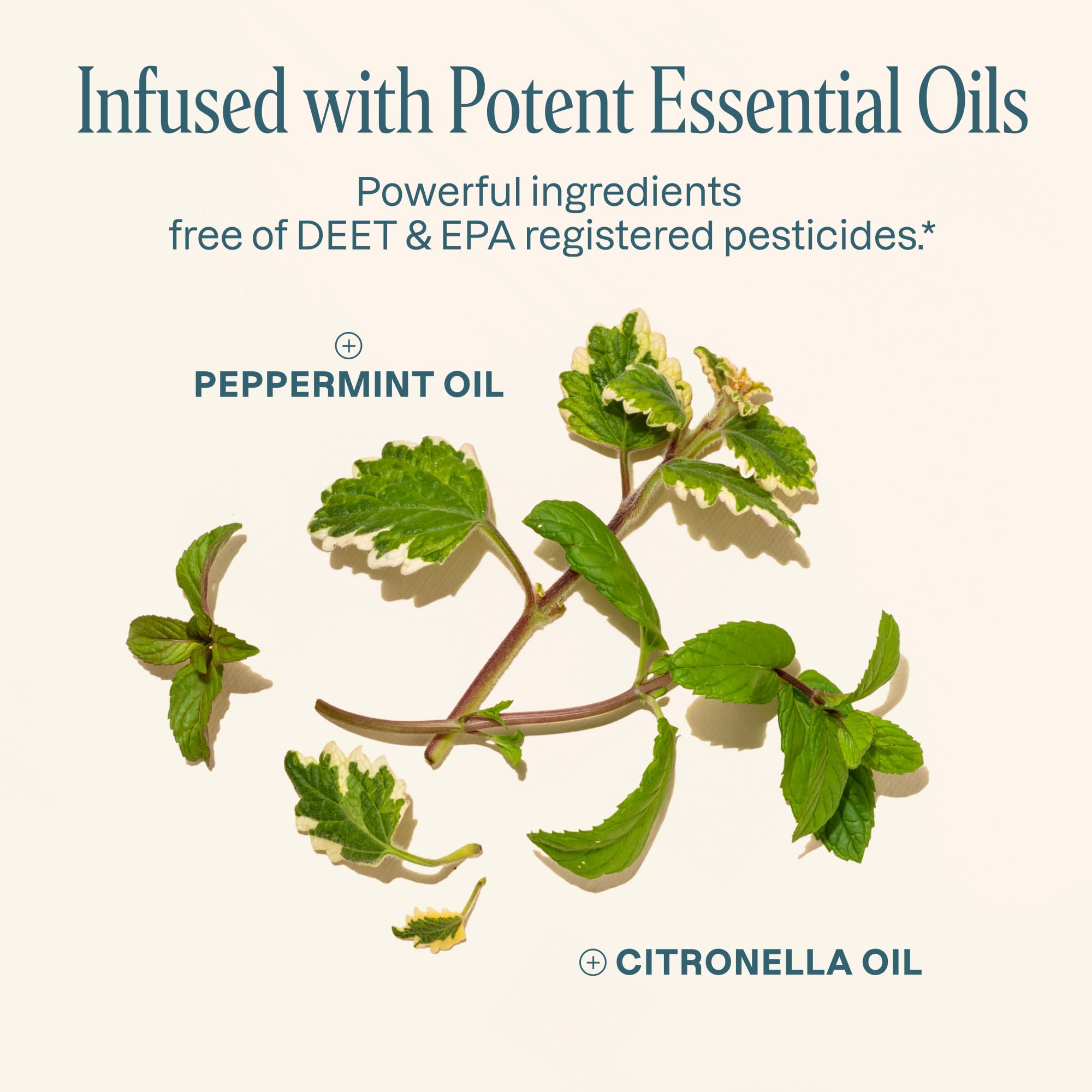 Parches sin DEET de Cliganic con aceites esenciales