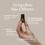 Usos de aromaterapia con Cliganic: difusor y creaciones artesanales.
